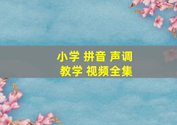 小学 拼音 声调 教学 视频全集